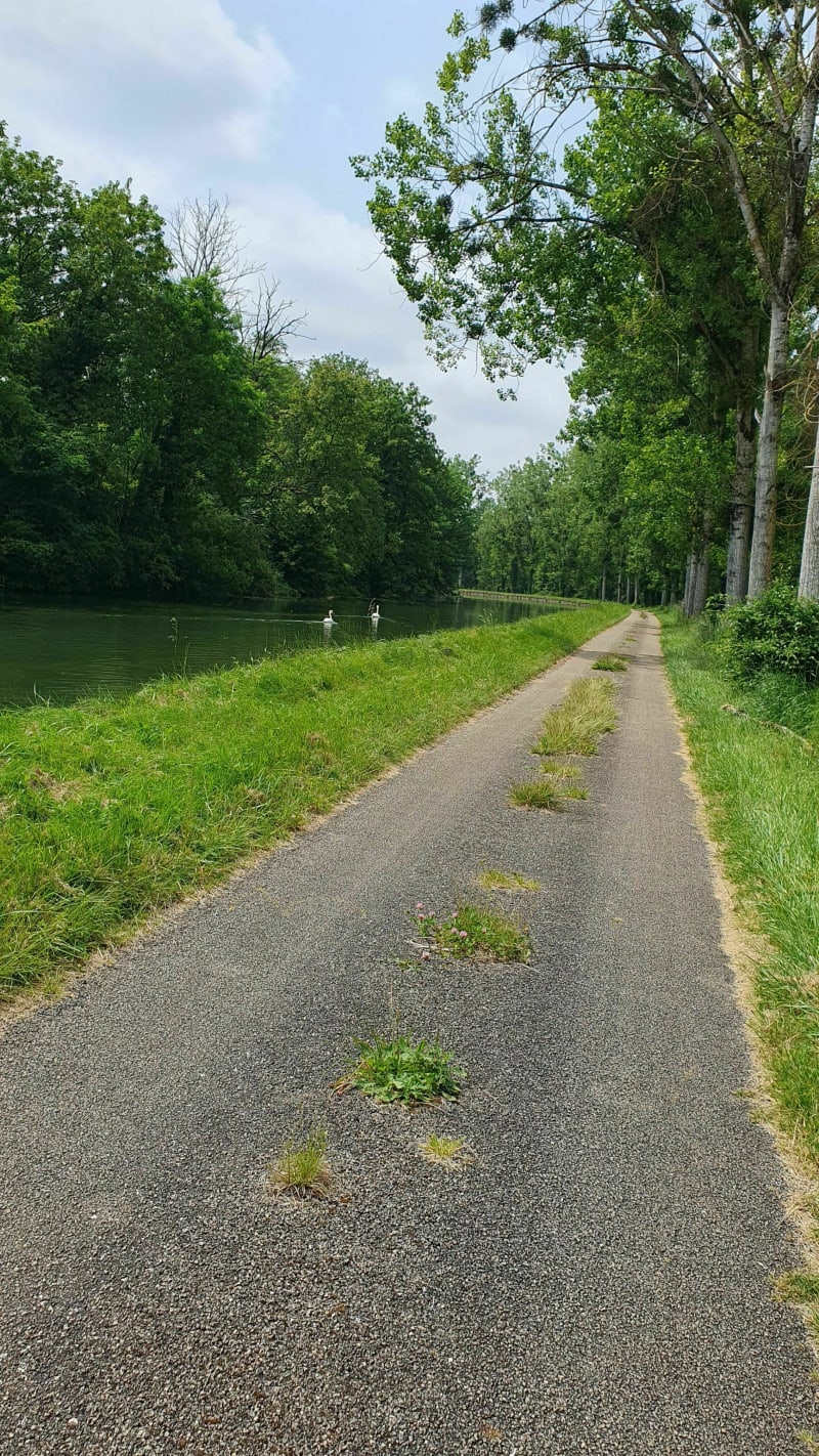 Beau Canal de Bourgogne - Montbard
