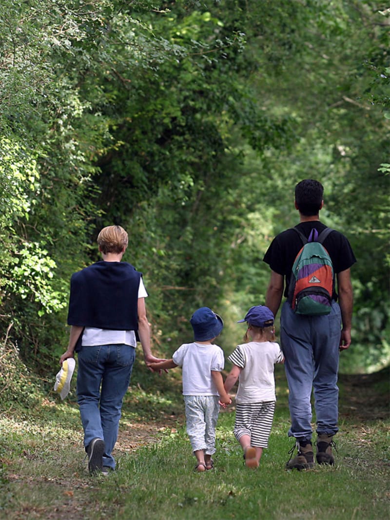 Le Grand Parc - Montigny-le-Chartif