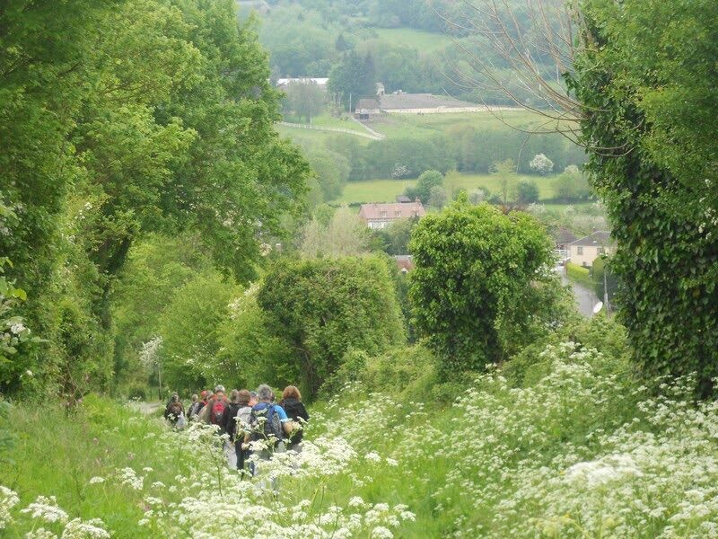 Tour entre Mesnil Mauger et Soquence - Mézidon Vallée d'Auge