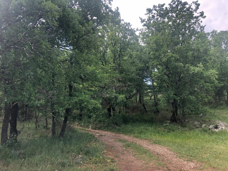 A travers les bois des Pargues - Beaulieu