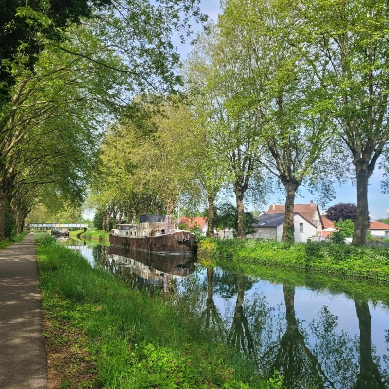 Au bord du canal depuis Lipsheim - Lipsheim