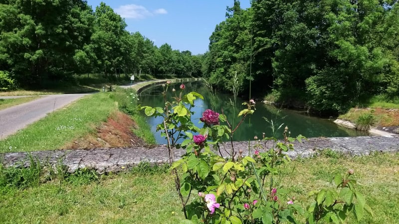 Balade Familiale le long du Canal de Bourgogne et du Lac Kir - Plombières-lès-Dijon