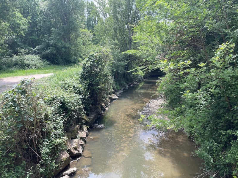 Promenade entre Pibrac et Colomiers - Colomiers