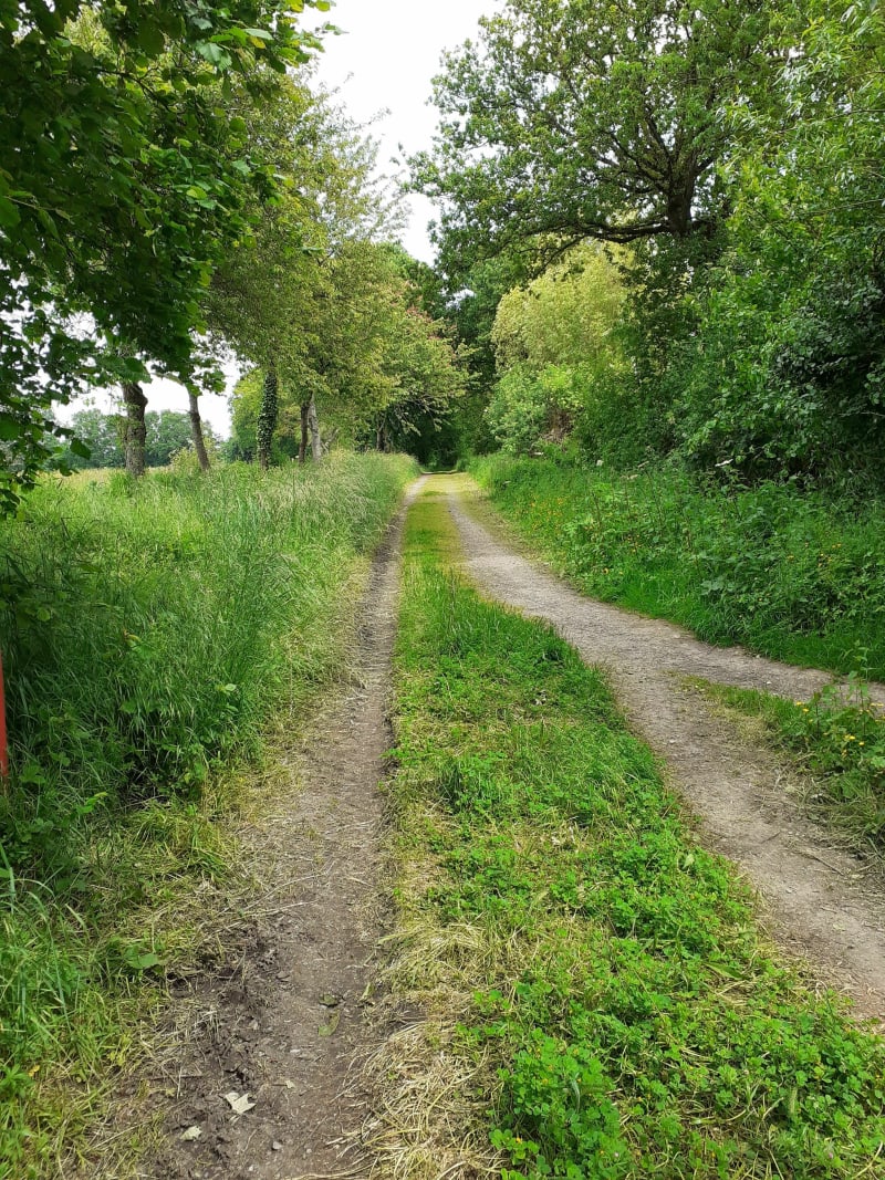 Le long de l'Ille à Saint-Grégoire - Saint-Grégoire
