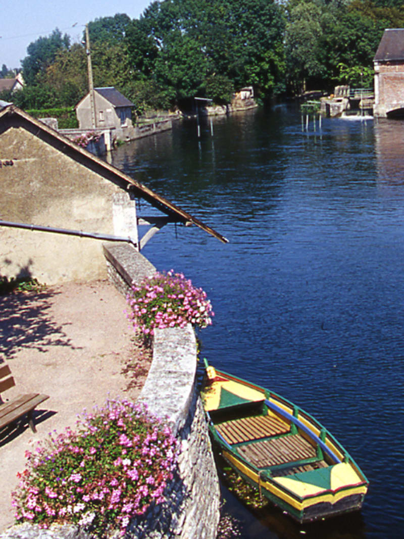 Le bois des Gâts - Châteaudun