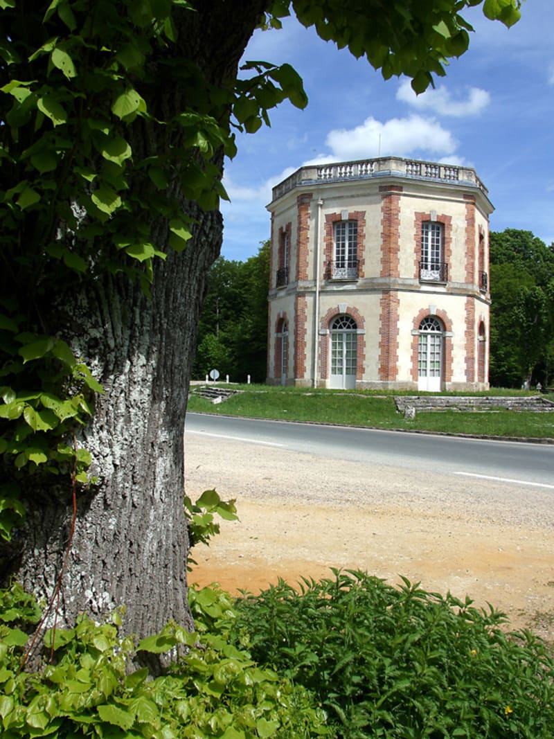 Bastions en forêt de Dreux - Abondant