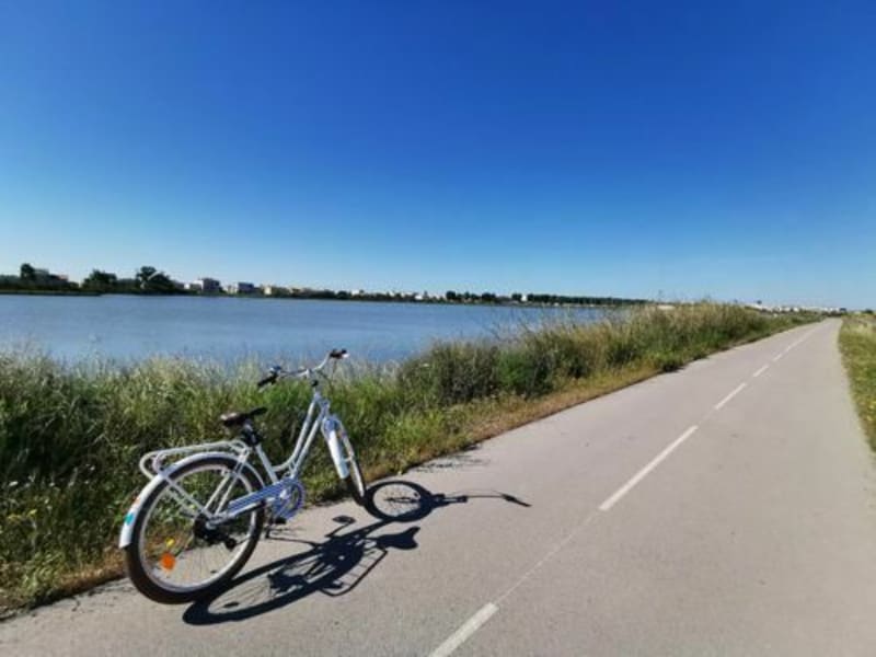 Aller-retour très agréable de Sète à La Grande Motte - La Grande-Motte