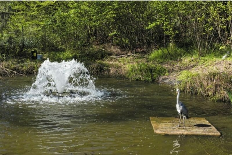 De Deuil-la-Barre au parc des Chanteraines entre ville et nature - Deuil-la-Barre