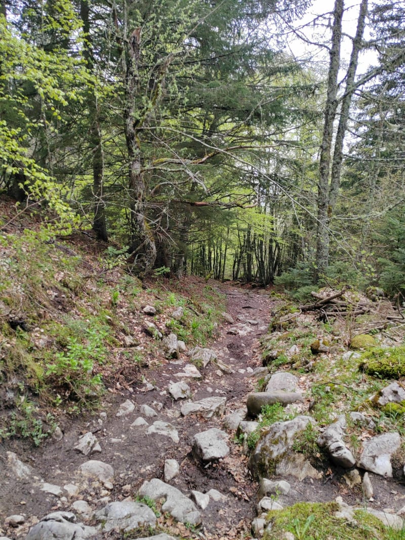 Vue magnifique depuis la crête au-dessus des Espinasses - Villard-de-Lans