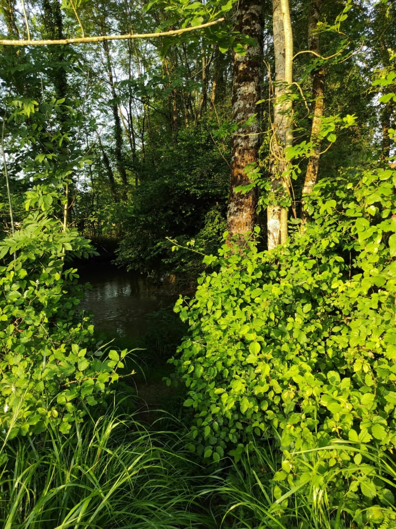 Promenade de soir à Vic en Bigorre - Vic-en-Bigorre