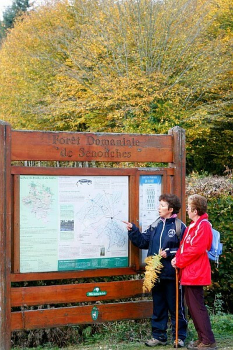 Forêt domaniale de Senonches - Rendez-vous au rond de Condé - Senonches