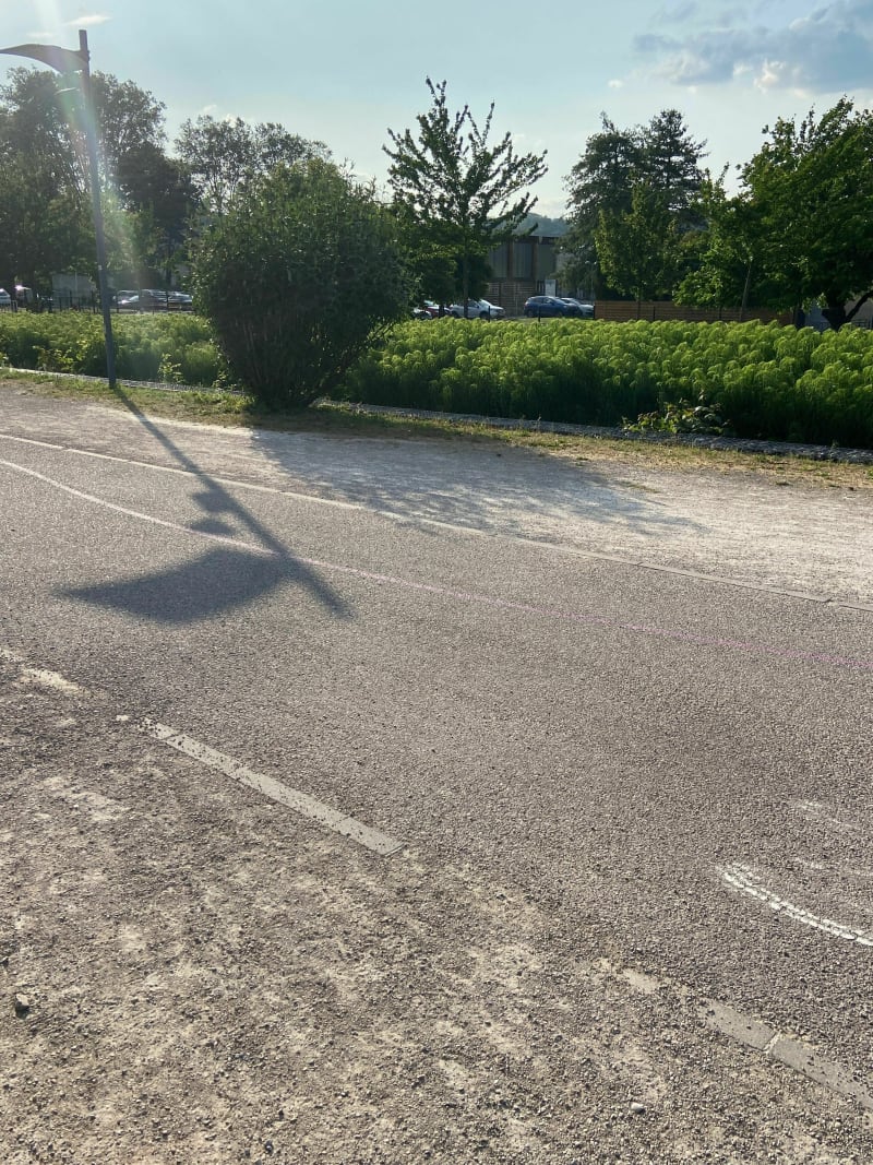 Du parc de la Tête d’Or à Gerland par les berges - Villeurbanne