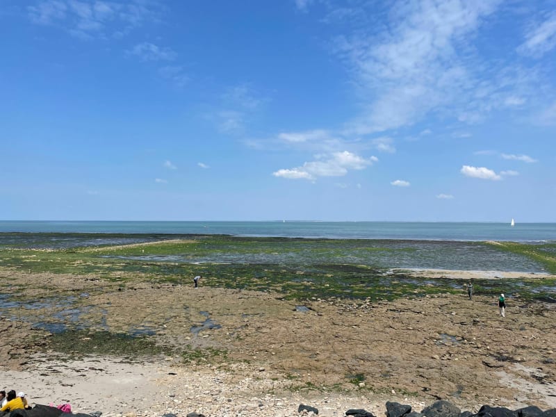 Autour du Fier d’Ars et la Marais d'Eloi à vélo - Loix
