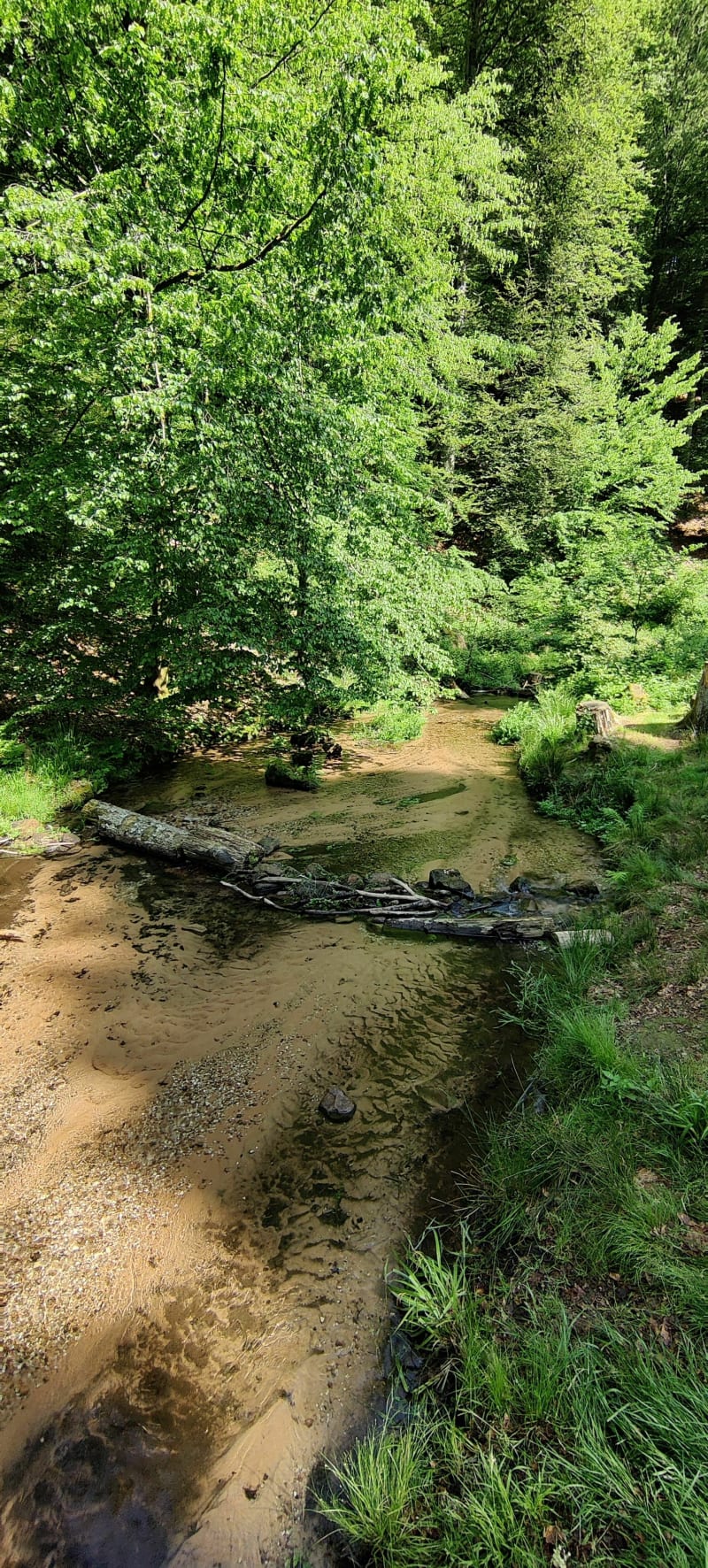 Petite balade de reprise à Lutzlbourg - Lutzelbourg