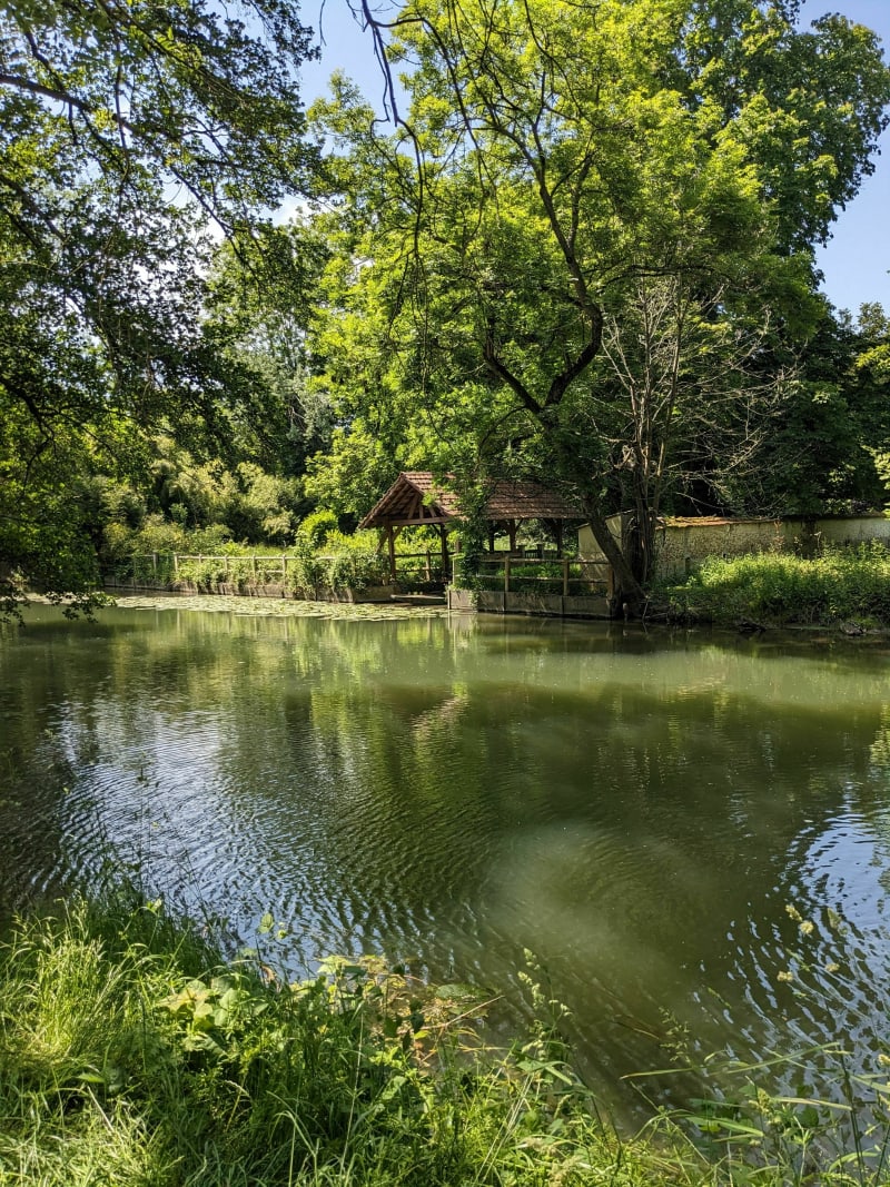 Les bords de l'Yerres autour de Brunoy - Brunoy