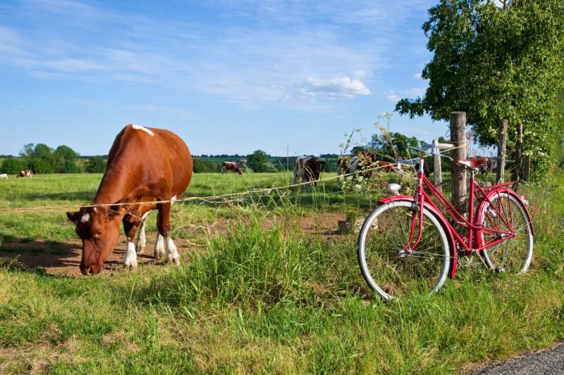 Balade autour de Dompierre sur Besbre - Dompierre-sur-Besbre