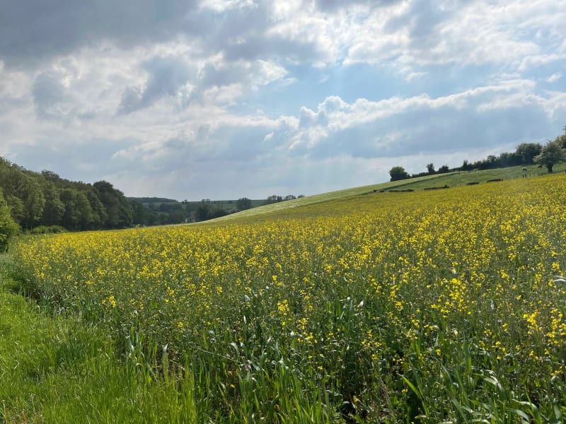 Belle balade dans le Ternois, par Hestrus, Huclier et Sains-Lès-Pernes - Pernes