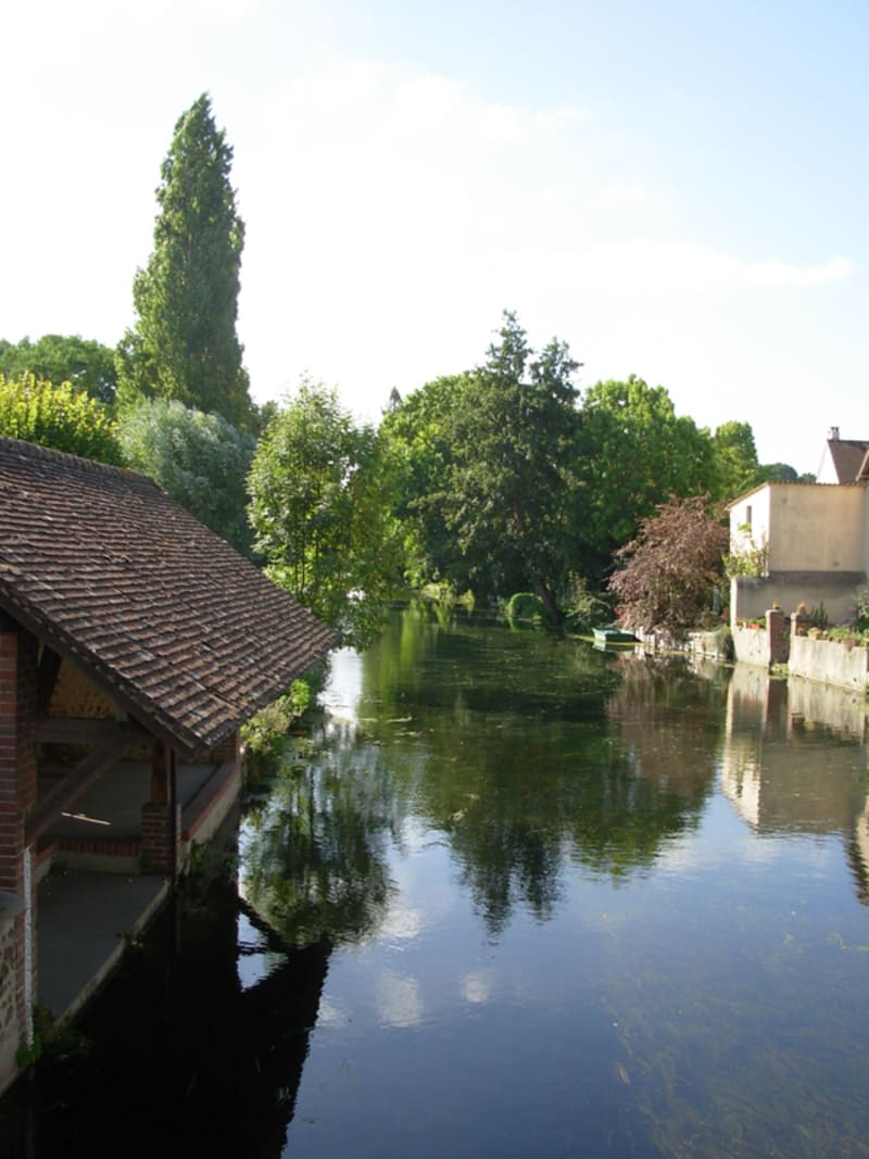 Le bois du Gland - Saint-Piat