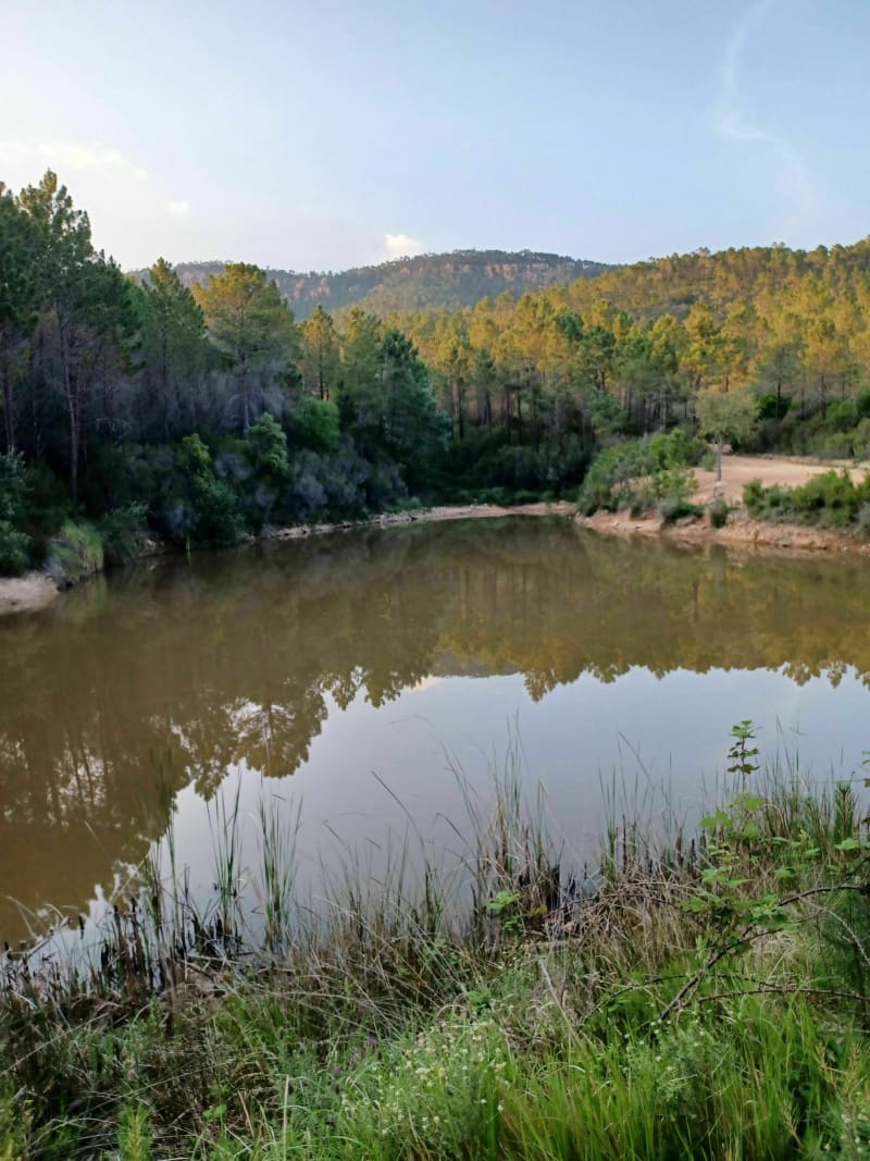 A deux pas de Fréjus, la Montée de la Pierre du Coucou à VTT - Puget-sur-Argens