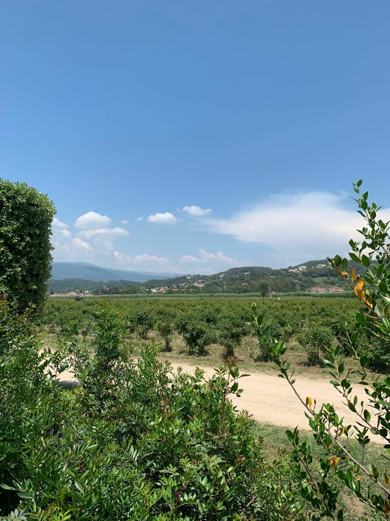 Balade nature autour de La Siagne - Pégomas