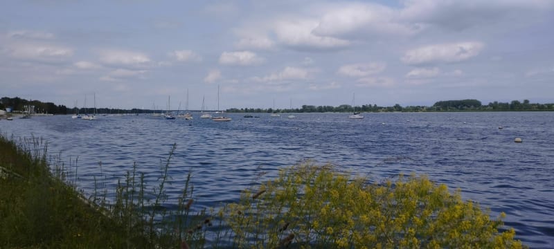 Boucle au bord de l'eau autour de Plobsheim - Plobsheim