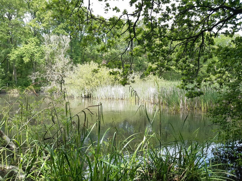 Vtt à saint Cucufa - Rueil-Malmaison