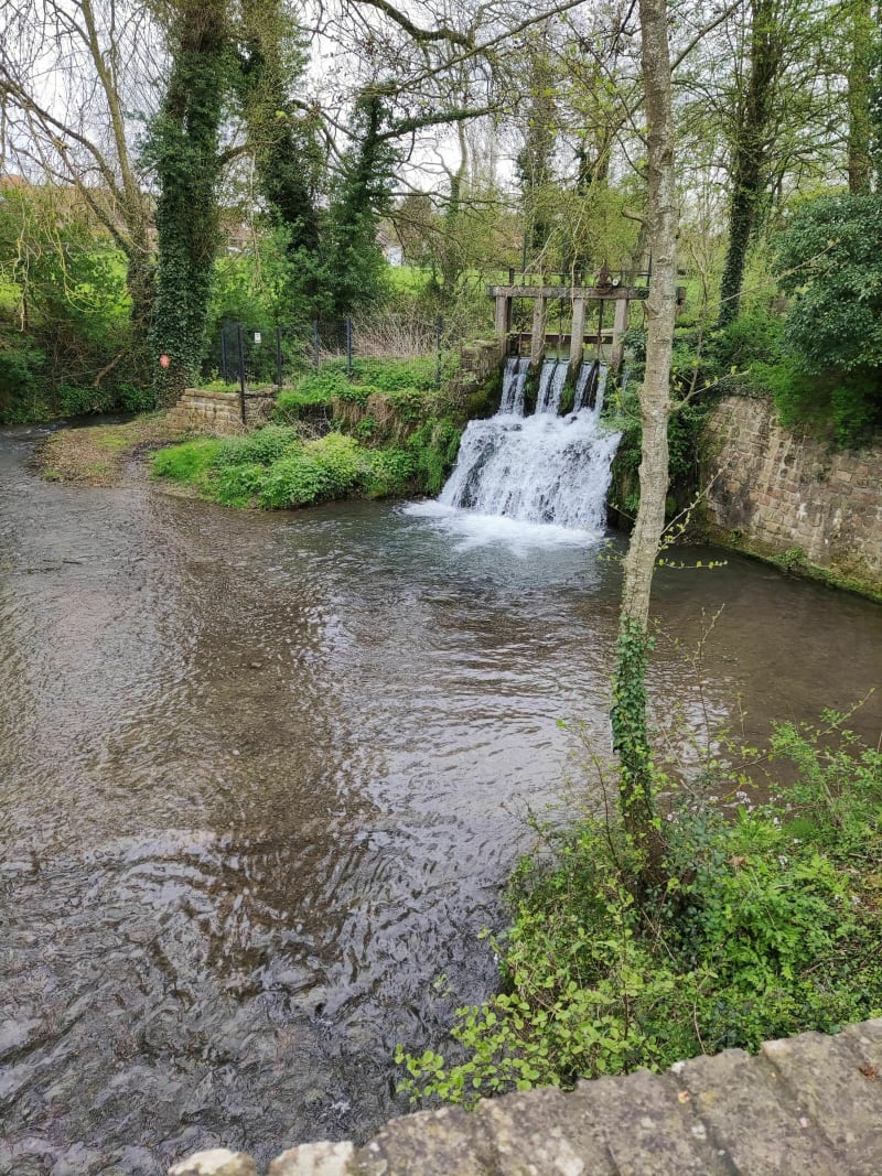 Marche gourmande à Magnicourt en Comté - Magnicourt-en-Comte