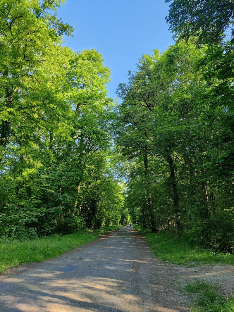 De Clamart à Massy, en traversant le bois de Verrières - Châtenay-Malabry