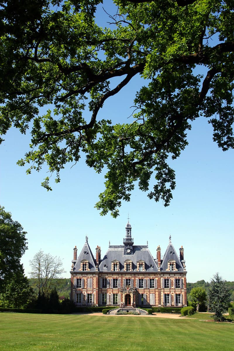 Les bois de Nogent le Roi - Nogent-le-Roi