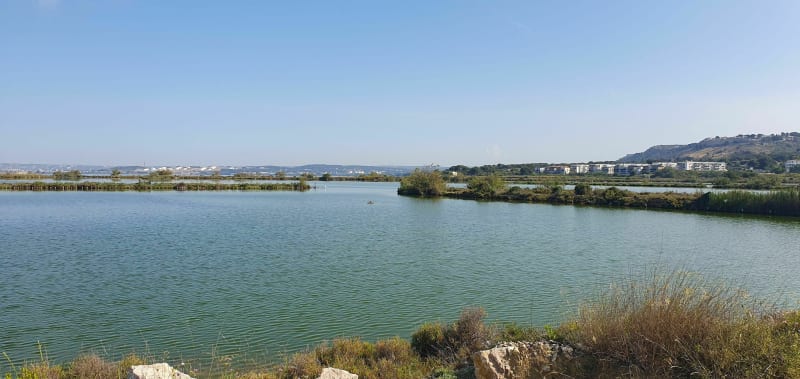 Wandeling naar de Salins du Lion vanuit Vitrolles - Vitrolles