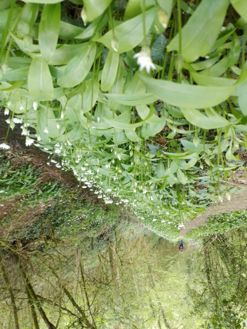 Boucle de Smarves à la Villedieu - Smarves