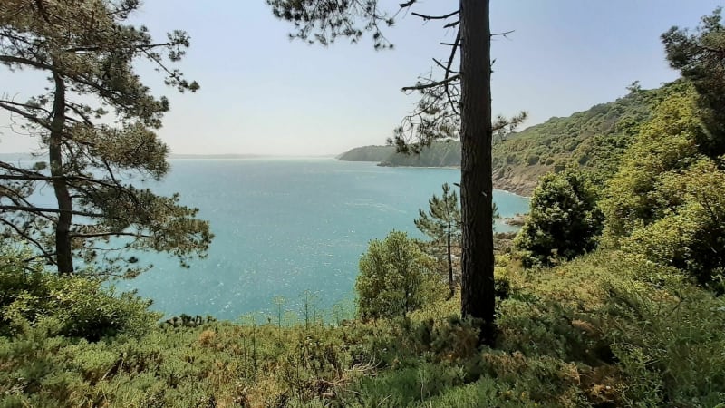 De la lande aux deux caps - Plévenon