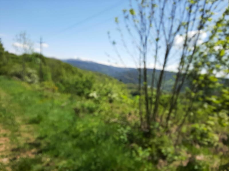 Belle balade à Murat-le-Quaire par le Pré Cohadon - Murat-le-Quaire