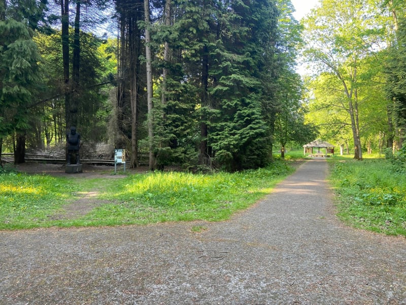 Arboretum dans la Forêt de Mormal - Preux-au-Bois