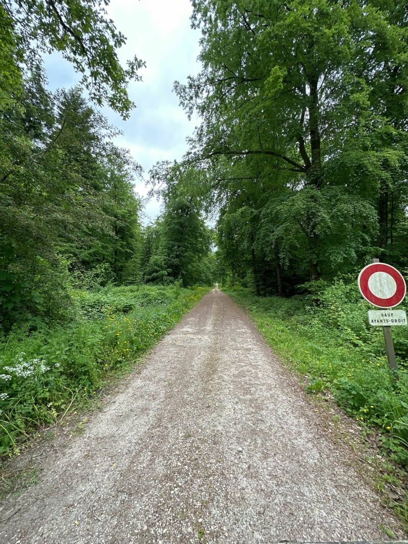 Découverte des étangs et de la chapelle de Sainte-Geneviève - Loisey