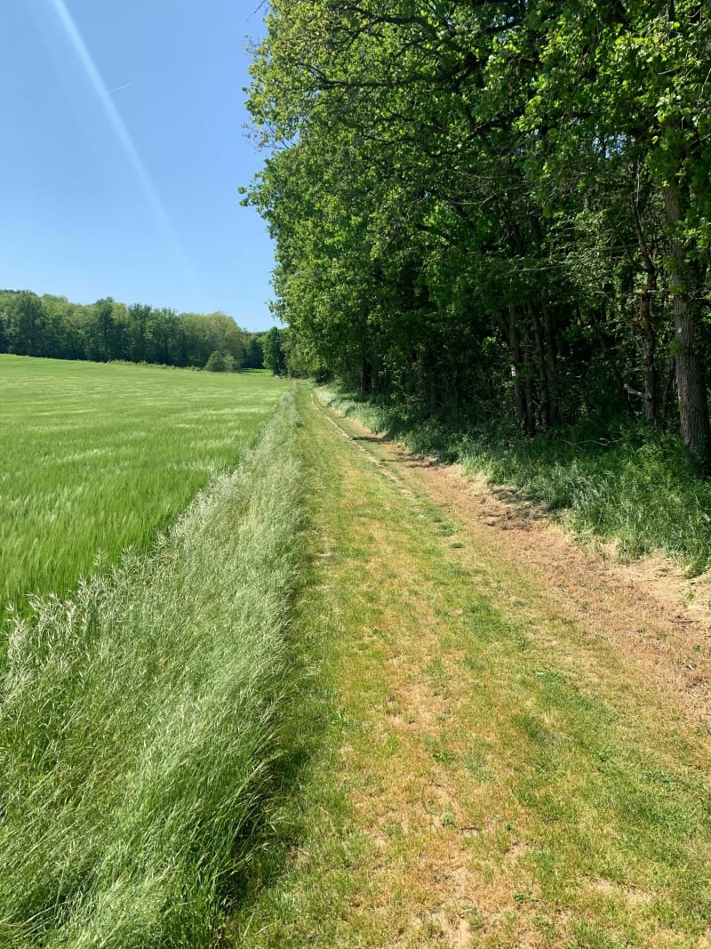 Boucle entre Villeneuve-sur-Auvers et Boissy-le-Cutté - Villeneuve-sur-Auvers