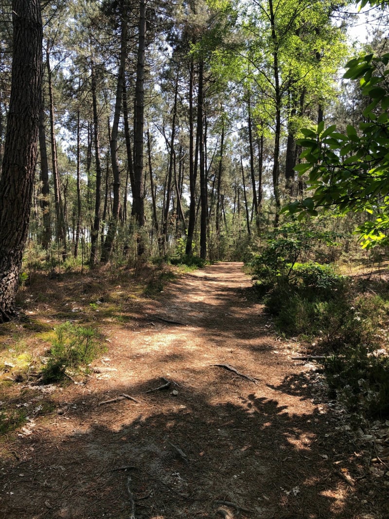 Bocage et bois de l’Epau - Le Mans