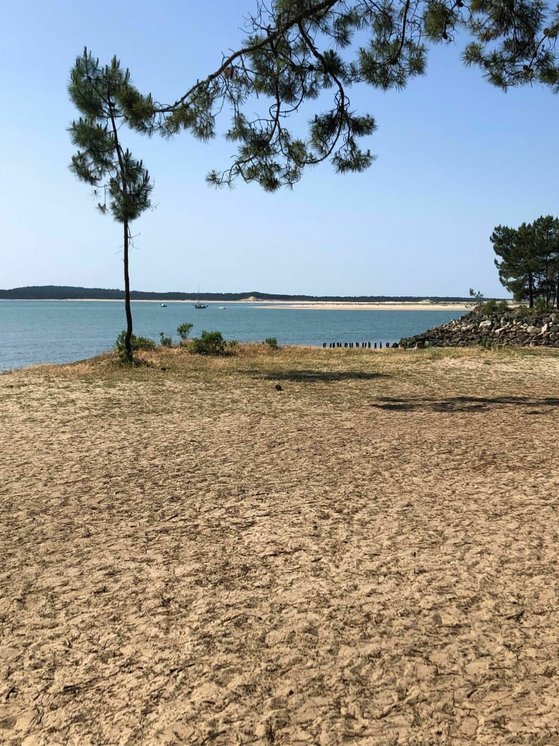 De Ronce-les-bains à la Palmyre - La Tremblade