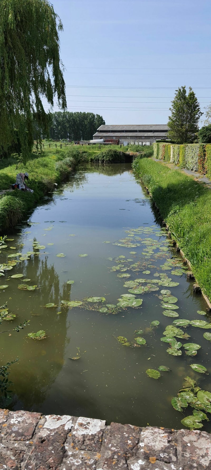 Autour de Sainte Mildrède et flânerie près de l eau - Volckerinckhove