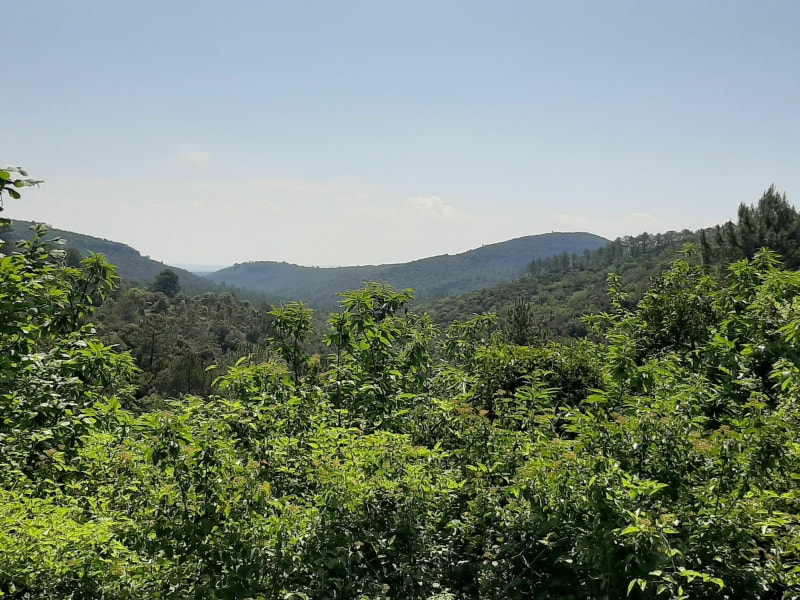 Boucle Anduze / Saint-Félix / Thoiras - Anduze
