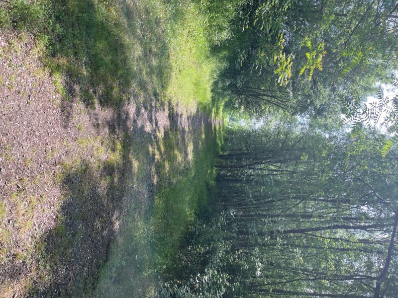 Balade à vélo au calme de Marssac sur Tarn - Marssac-sur-Tarn