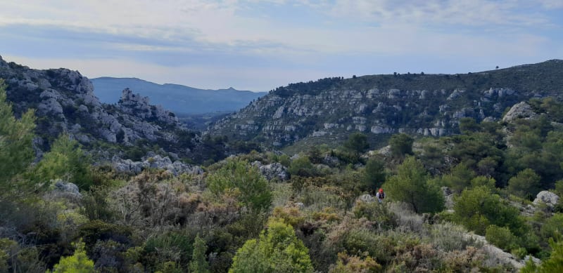 Chemin de la liberté à Simiane-Collongue - Simiane-Collongue