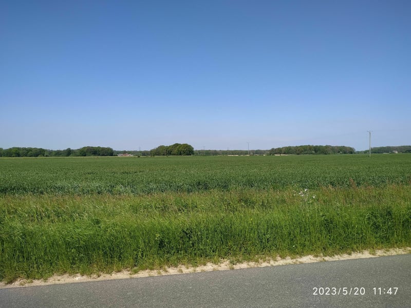 Du Plessis à Rambouillet - Le Plessis-Robinson