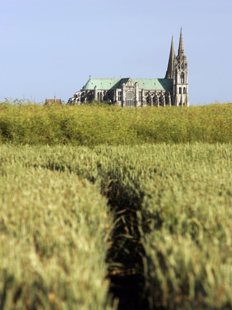 Entre étangs et vallée de l'Eure - Lèves