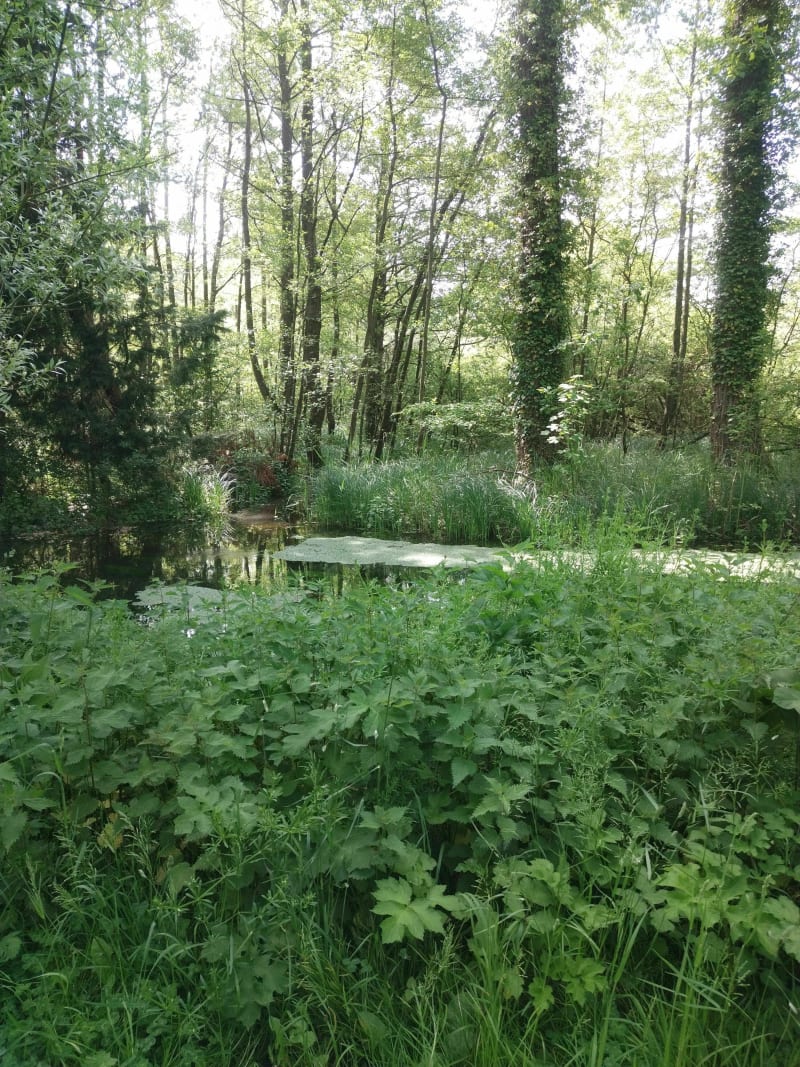 Belle balade autour d'Aire sur la Lys - Aire-sur-la-Lys