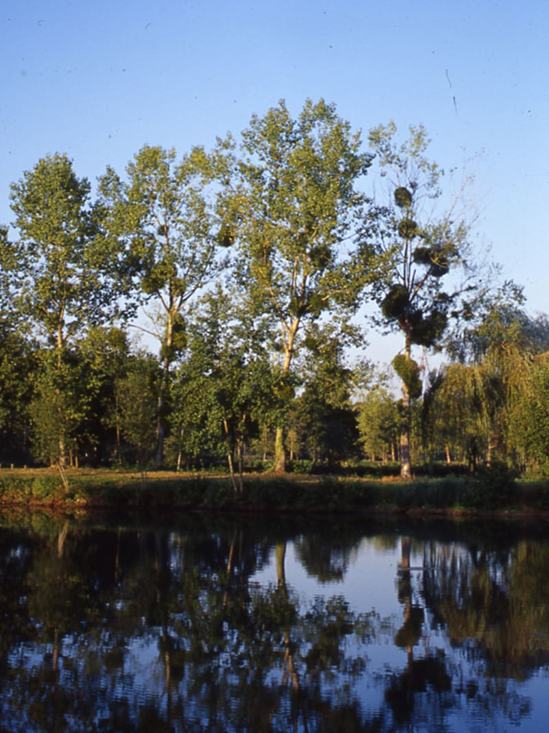 Le prieuré de Douy - Cloyes-les-Trois-Rivières