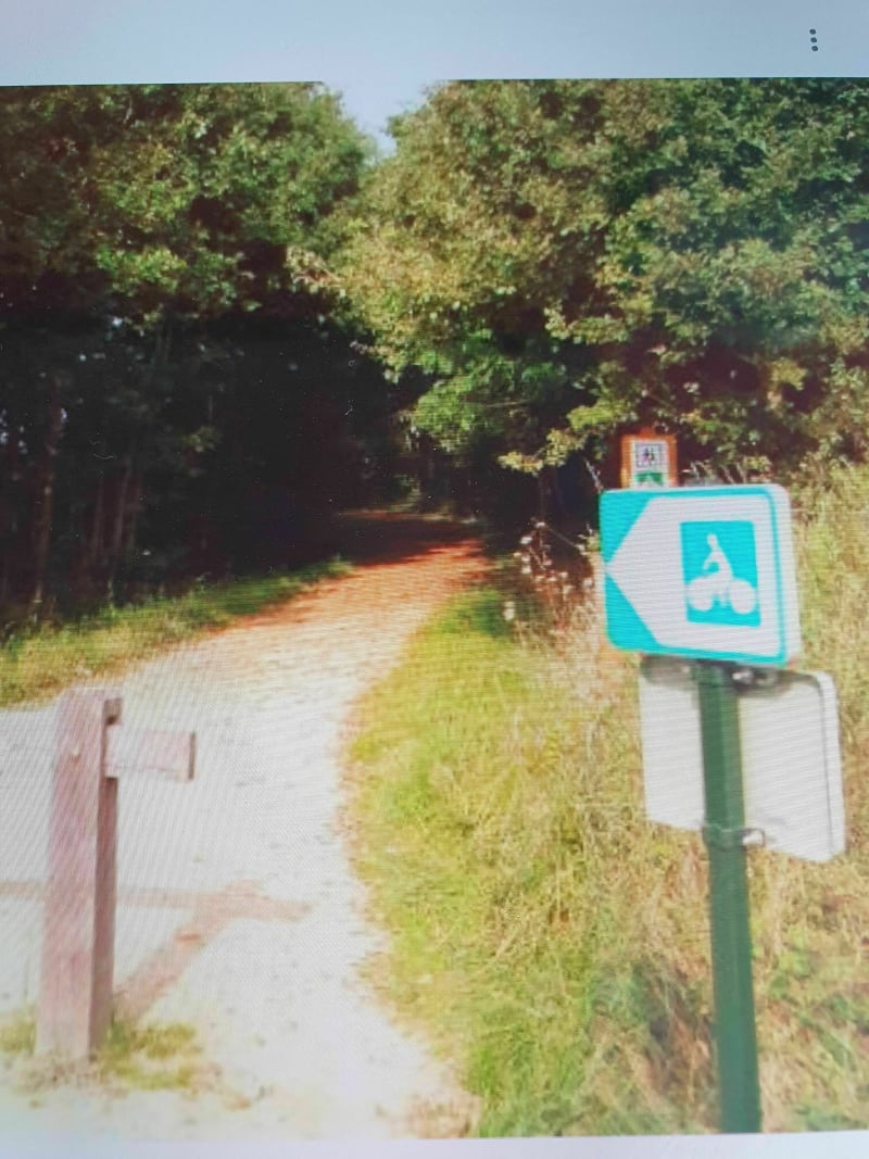 Voie verte de Trévron à la base de loisir de Bétineuc à VTC - Trévron