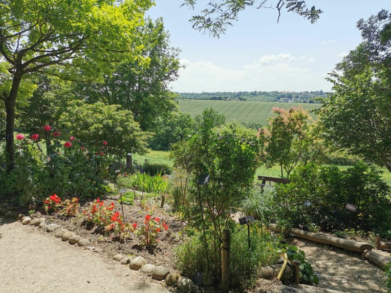 Entre Ramonville et Pouvourville - Ramonville-Saint-Agne