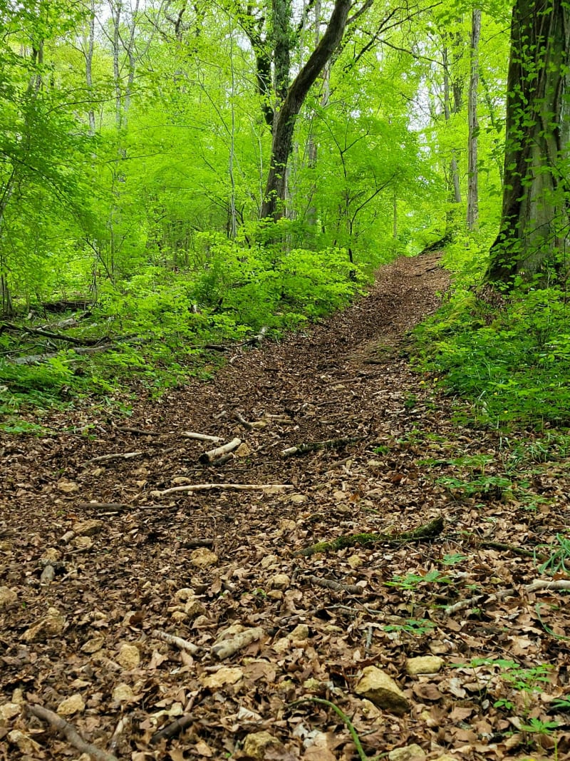 Balade dans la Vallée de la Seille - Mousson