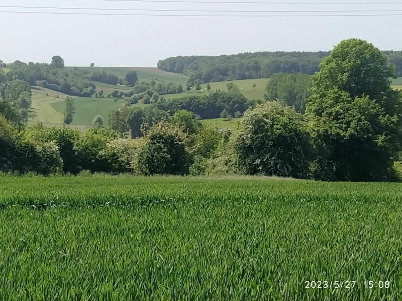 Sentier du bois Patou de Buire-au-Bois - Buire-au-Bois